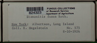 Image Associated With the Occurence